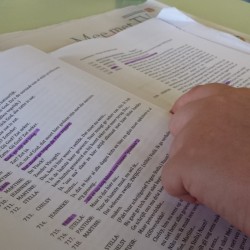 Repetitieweekend (3) - Toneelvereniging Plankenkoorts 